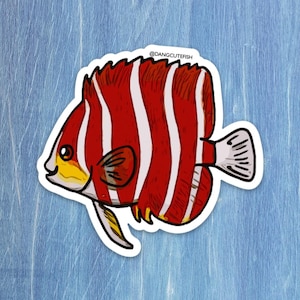 peppermint angelfish sticker (1) - peppermint angelfish gift, aquarist sticker, aquarium sticker, aquarist gift,