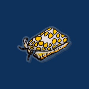 Flamingo Tongue Pin - invertebrate pin, aquarist gift, nudibranch pin, Flamingo Tongue Gift, Sea Snail, Aquarist Pin, Aquarium Pin