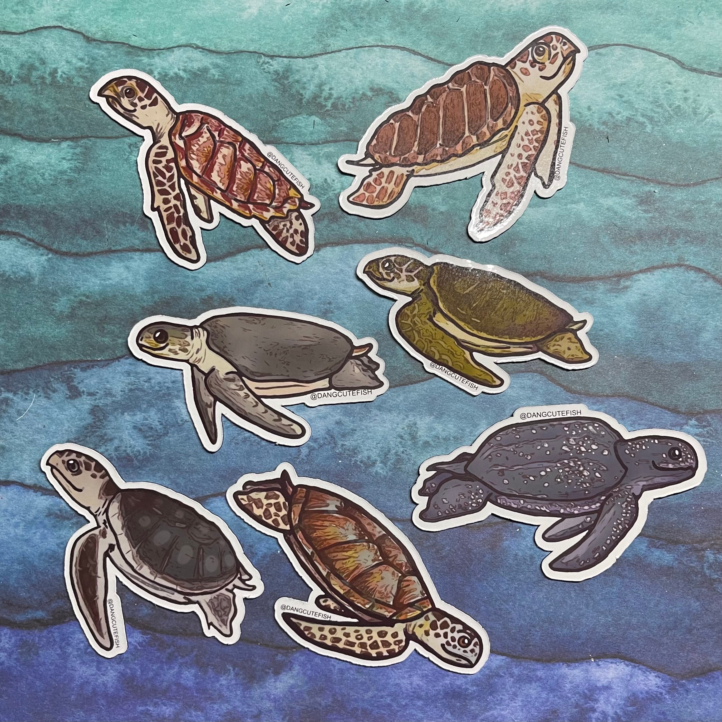 Magnet Set - 7 Sea Turtles! Loggerhead, Green, Hawksbill, Kemps