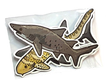 Magnet Set - Big Sharks set #1. Sand Tiger, Basking Shark, Blacktip Reef Shark, Zebra Shark. Elasmobranch magnet, Shark magnets, Aquarist