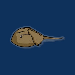 Pin de cangrejo herradura - pin de invertebrado, regalo para acuaristas, pin de Limulus, regalo de cangrejo herradura, pin para acuaristas, pin de acuario