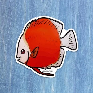 Discus sticker, cichlid, fish sticker, freshwater, planted aquarium, great gift for an aquarist or ichthyologist.