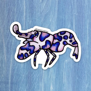 harlequin shrimp sticker, harlequin shrimp gift, fancy shrimp sticker, aquarium gift