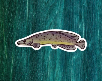 Squama Di Arapaima Gigas Naturale - Lima Per Unghie Unica - Pesce Amazzonico Dal Brasile