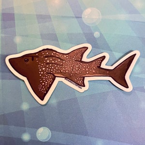 Bowmouth Guitarfish sticker - Shark Ray, elasmobranch, shark gift, dang cute fish
