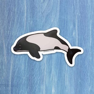 Matte coated vinyl sticker - Commerson&#39;s dolphin sticker, Cetacean Sticker, Marine Mammal Sticker,