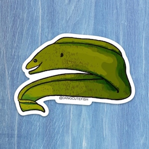 Green Moray Eel Sticker - great gift for an aquarist, ocean lover, or any fan of fish!