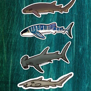 Magnet Set - Big Sharks set #2, Whale Shark, Nurse Shark, Great Hammerhead Shark, Goblin Shark. Elasmobranch magnet, Shark magnets