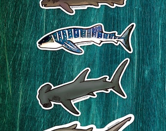 Magnet Set - Big Sharks set #2, Whale Shark, Nurse Shark, Great Hammerhead Shark, Goblin Shark. Elasmobranch magnet, Shark magnets
