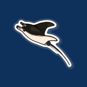 Manta Ray Pin - aquarist gift, stingray gift, aquarist pin, aquarium pin, elasmobranch pin, devil ray, mobula