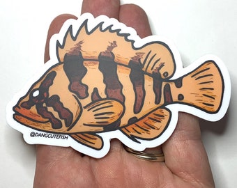 Matte coated vinyl stickers (1) - Tiger Rockfish, great gift for an aquarist, fish lover, or any fan of Pacific Northwest fish!