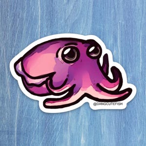 Stubby Squid Sticker, Cephalopod Sticker, cuttlefish Gift, Aquarist