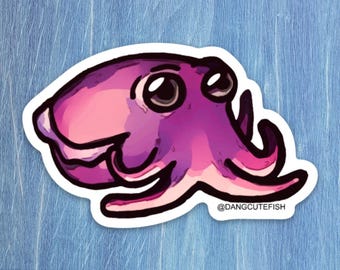 Stubby Squid Sticker, Cephalopod Sticker, cuttlefish Gift, Aquarist