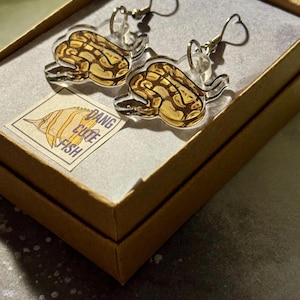May include: A pair of clear acrylic earrings shaped like a fish with a brown and tan pattern. The earrings have silver-colored hooks with heart-shaped accents. The earrings are displayed in a brown cardboard box with a small label that reads "Dang Cute Fish".