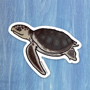 Adesivo de tartaruga Kemps, presente, aquarista de tartarugas marinhas