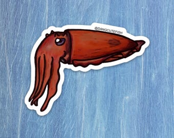 Giant Australian Cuttlefish Sticker, Cephalopod Sticker, cuttlefish Gift, Aquarist