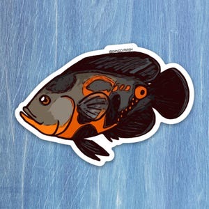 Oscar Sticker - Matte coated vinyl stickers (1) - Tiger Oscar, great gift for an aquarist or ichthyologist.