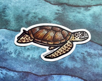 Vinyl Sticker (1) - Green Sea Turtle Sticker, Gift, Sea Turtle Aquarist