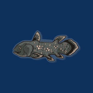 Coelacanth Pin - fish pin, aquarist gift, Coelacanth gift, aquarist pin, aquarium pin