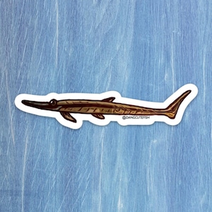 Stick catfish sticker, farlowella sticker, twig catfish sticker, farlowella catfish