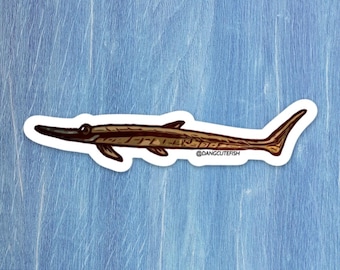Stick catfish sticker, farlowella sticker, twig catfish sticker, farlowella catfish