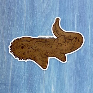 Matte coated vinyl sticker - tasselled wobbegong sticker