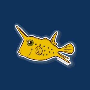 Falterfisch Pin - semilarvatus Schmetterlingsfisch Pin - Pin für Aquarianer, Falterfisch Geschenk