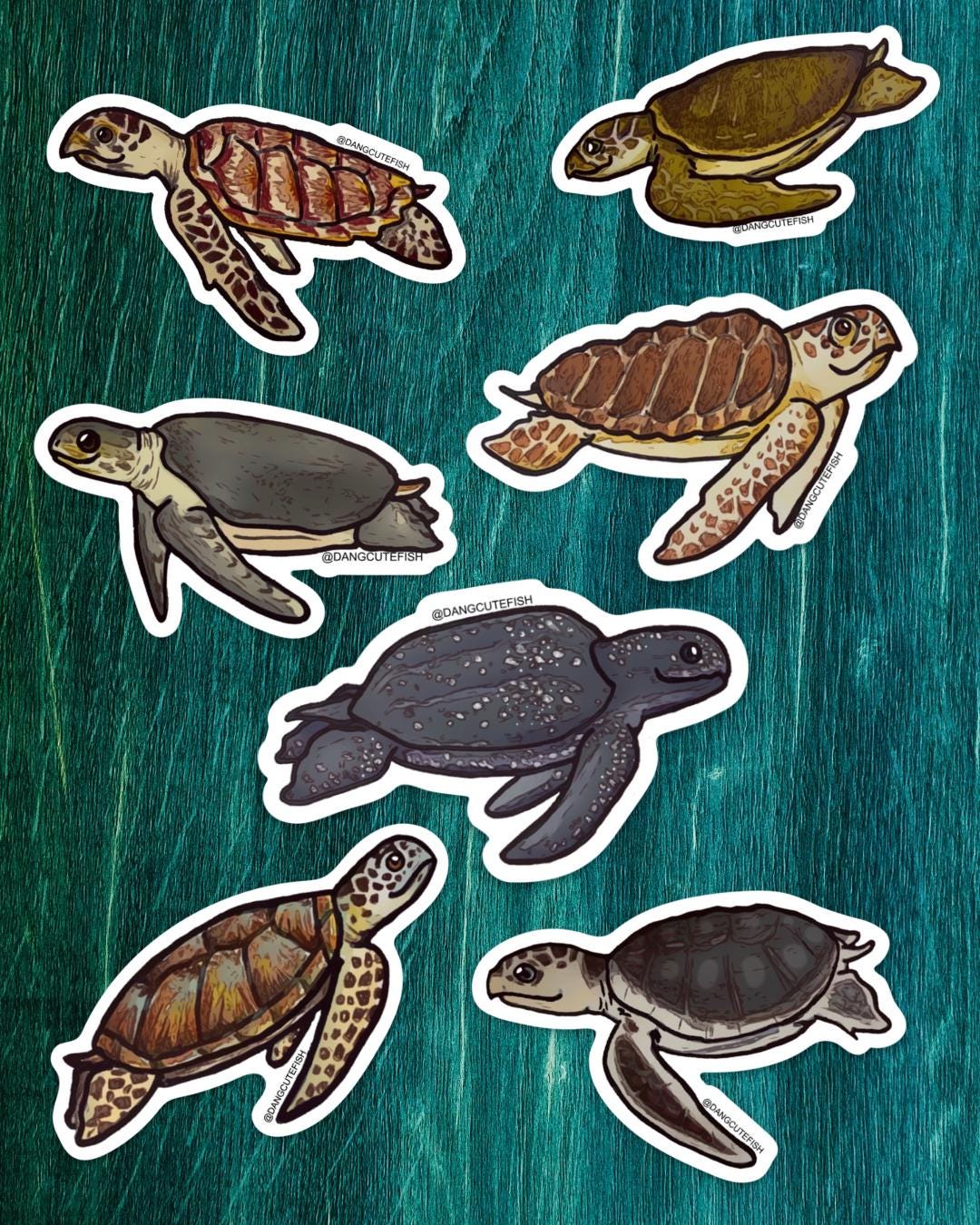 Magnet Set - 7 Sea Turtles! Loggerhead, Green, Hawksbill, Kemps