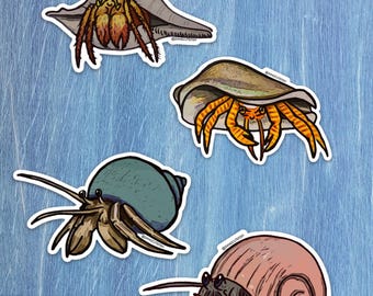May include: Four colourful hermit crab stickers. Each sticker features a detailed illustration of a hermit crab with its shell. The crabs have orange, brown, grey, and blue shells. The stickers are on a blue background.