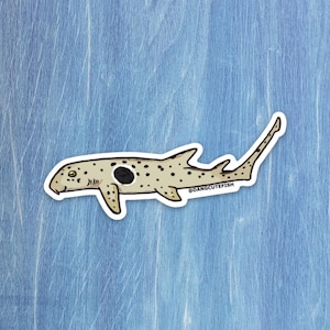 Epaulette Shark sticker - elasmobranch, shark gift, dang cute fish