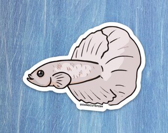 Betta sticker, betta fish sticker, betta fish gift, aquarium sticker