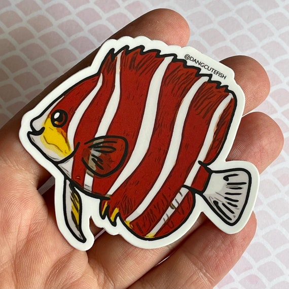 peppermint angelfish sticker (1) - peppermint angelfish gift, aquarist  sticker, aquarium sticker, aquarist gift