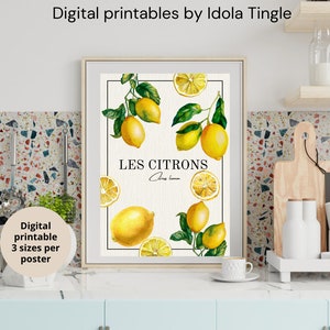 Lemon Print Wandkunst, druckbare Wandkunst, Dekor, lateinisches französisches Obst Poster, Obstmarkt Vintage Poster, botanische Kunst, digitale Ausdrucke