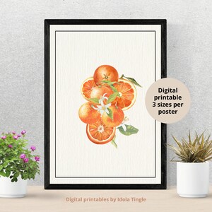 Bunch of Oranges Print Wall Art, Printable Wall Art, decor, fruit Poster, Fruit Market Vintage poster, Botanical Art, Digital printables