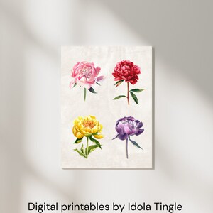 Peonies in Pink Print Wall Art, Printable Wall Art, decor, Flower Poster, Flower Market Vintage poster, Botanical Art, Digital printables