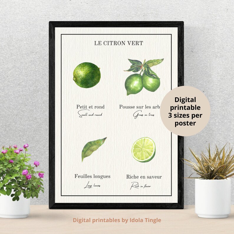 Lime Printable Wall Citron Vert, Decor, Latin French Fruit Poster ...