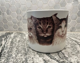 Pot