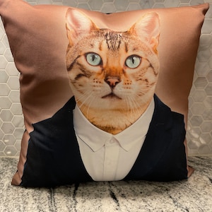 Cat Cushion
