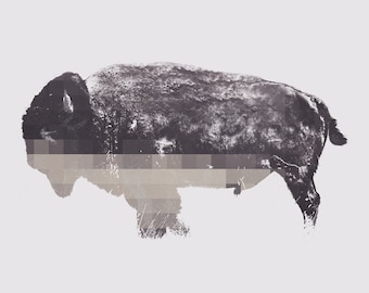 American Bison Printable Wall Art, Yellowstone Park,     Buffalo Animal, Buffalo Bison, Buffalo Pictures, Buffalo Snow