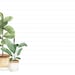 Printable Plant Stationery Paper / 4 Styles / 8.5x11 A4 / - Etsy