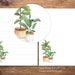 Printable Plant Stationery Paper / 4 Styles / 8.5x11 A4 / - Etsy