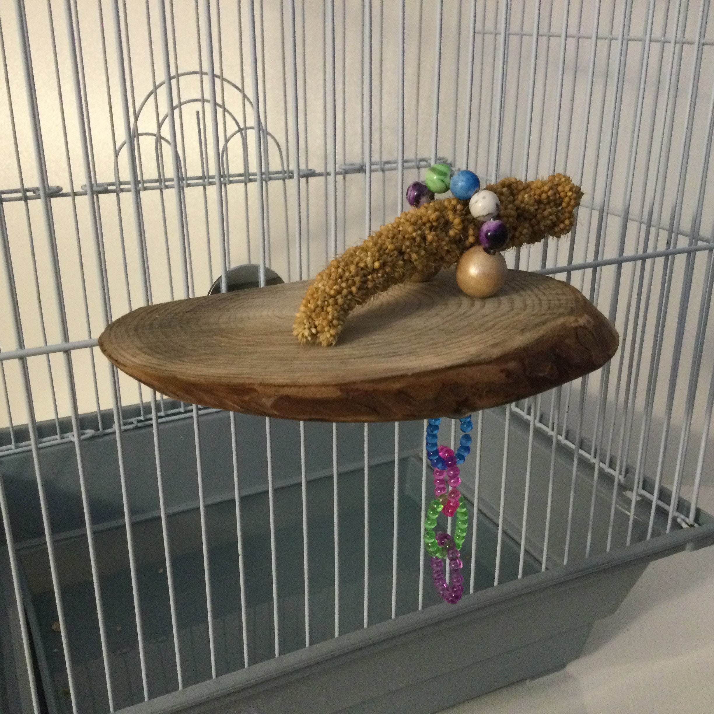 Millet Holder For Pet Birds