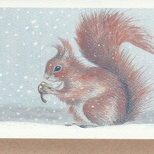 Eichhörnchen im Schnee. Weihnachtskarte. Eichhörnchen Weihnachtskarte. Eichhörnchen Karte. Wildtier Weihnachtskarte. Rotes Eichhörnchen. Natur Weihnachtskarte