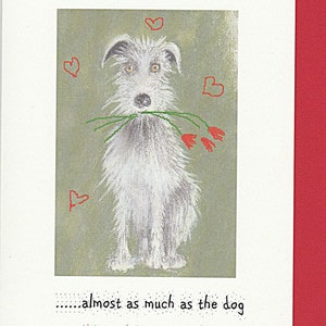 Deerhound Valentinskarte. Lustige Valentinskarte. Hund lustige Karte. irischer Wolfshund. Lurcher. Hirschhund. ungepflegter grauer Hund. romantische Karte