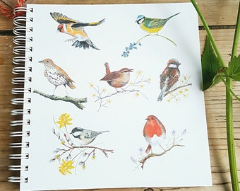 Bird notebook. British bird notebook. Hand made. Originally hand painted images. square notebook. garden bird gift. wildlife gift.naturegift