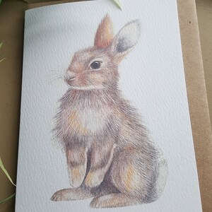 Hasenkarte. Waldland-Serie. Zeichnung eines Hasen. Hasenkarte. Kaninchen zeichnen. Karte mit Hase an. Handgezeichneter Hase. handgezeichnetes Kaninchen