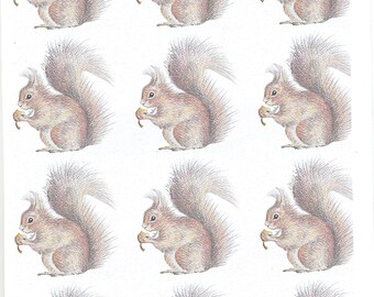 squirrel wrapping paper