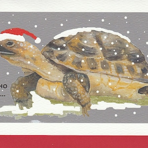 Tortoise Christmas card. Hand made card. card with a tortoise. funny tortoise christmas card. gift for tortoise lover. tortoise gift.