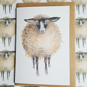 Sheep card. choice of image. sheep with blackbird. three sheep. funny sheep card. sheep gift. sheep present. gift for sheep lover. farmyard