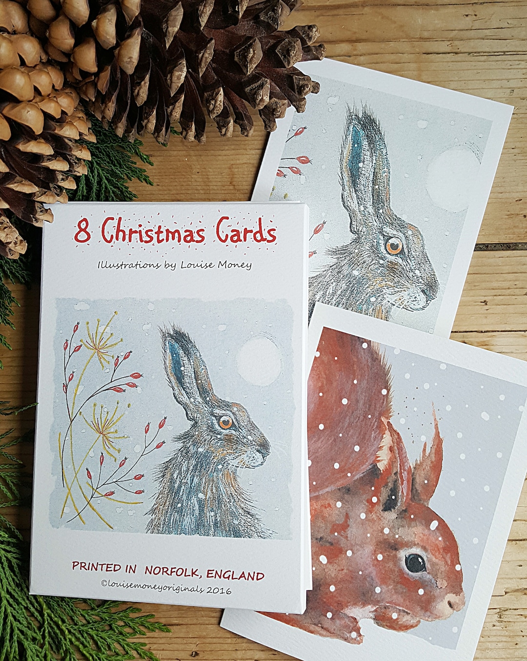 Hare and Squirrel Christmas Cards. Two Designs Featured in a Pack of ...